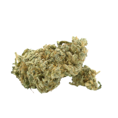 CBD-Blume: Premium OG Kush CBD – Indoor – 12 % ABC du CBD