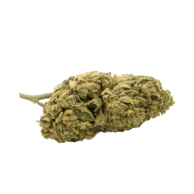 Fleur CBD : Melocotón CBD - Invernadero - 5,2% ABC du CBD