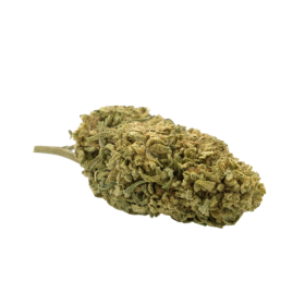 Fleur CBD : Melocotón CBD - Invernadero - 5,2% ABC du CBD