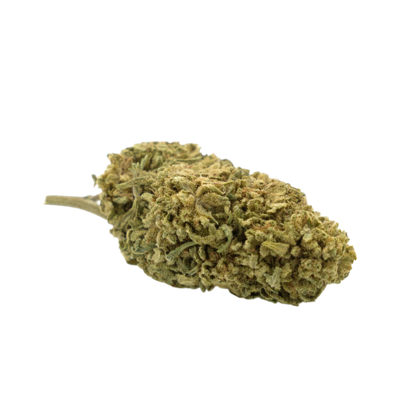 Fiore CBD: Pesca CBD - Serra - 5,2% ABC du CBD