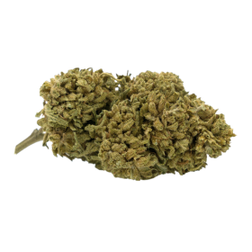 Fleur CBD : Melocotón CBD - Invernadero - 5,2% ABC du CBD