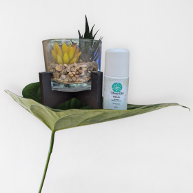 Roll-on anti-douleur 1000mg - ÉTERNEL CBD