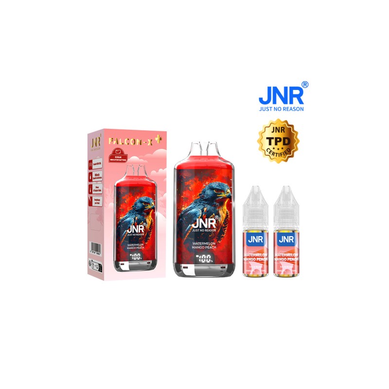 Puff JNR rechargeable saveur mangue pèche pastèque