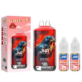 Puff JNR rechargeable saveur mangue pèche pastèque