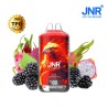 Puff JNR Black Dragon Ice 28000 Puffs – 2x10ml | 20mg Sel de Nicotine | Fruit du Dragon & Menthol