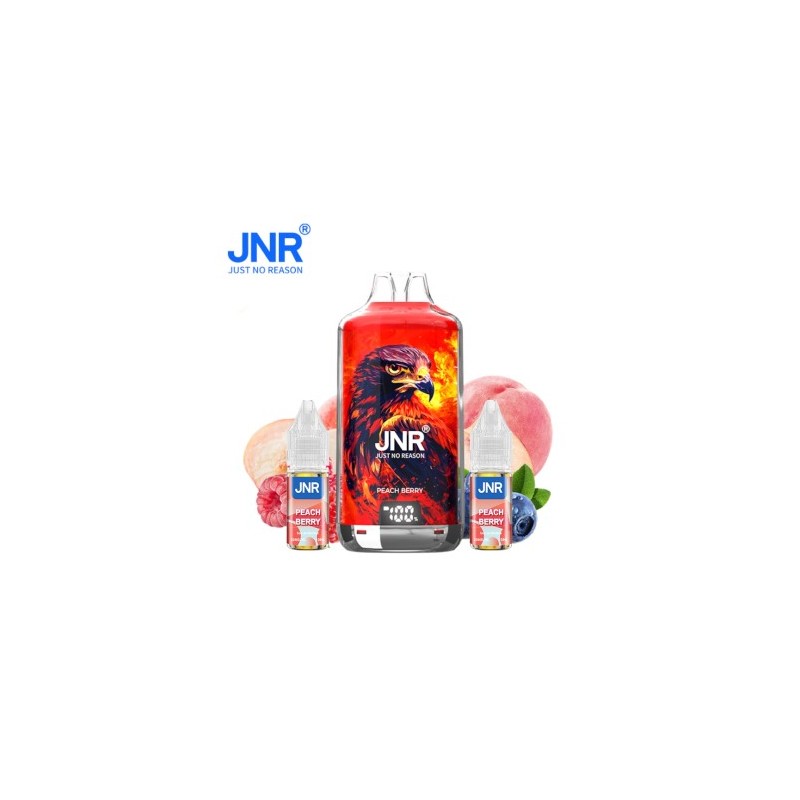 Puff JNR rechargeable pèche et fruits des bois