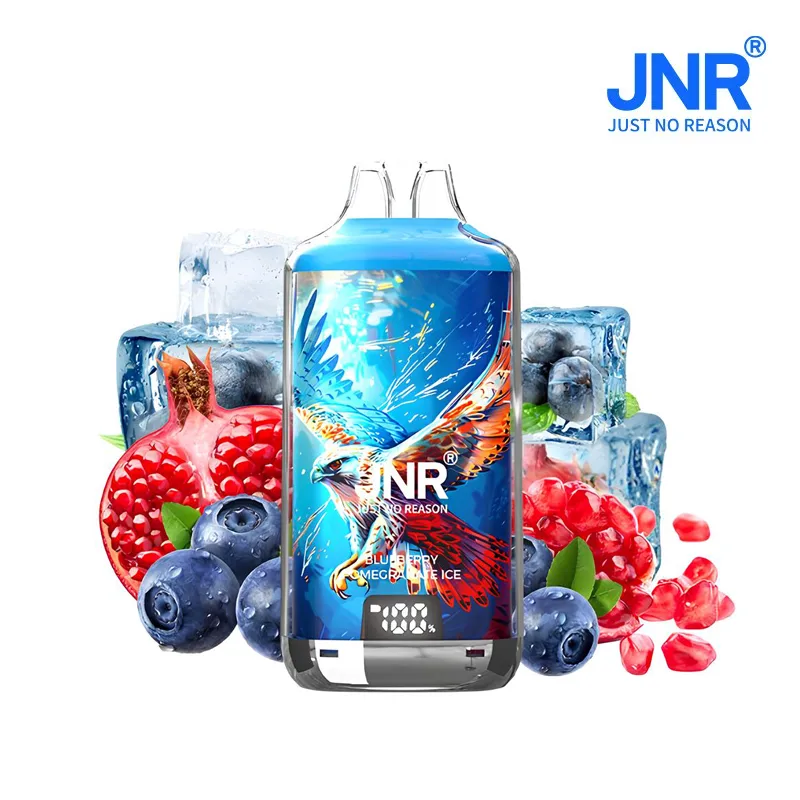 Puff JNR rechargeable myrtille grenade glacée