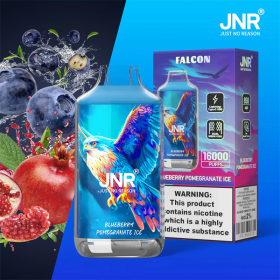 Puff JNR rechargeable myrtille grenade glacée