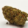 Fleur de CBD Alien