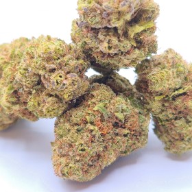 Fleur de CBD Alien