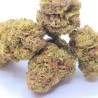 Fleur de CBD Alien