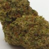 Fleur de CBD Alien