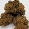 Fleur CBD Peach – Arôme Fruité & Relaxation Douce |  Greenhouse
