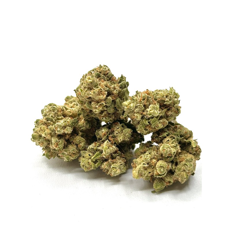 Fleur CBD Gorilla Blue – Puissante & Relaxante |Indoor Premium Fleur CBD Gorilla Blue – Puissante & Relaxante |Indoor Premium