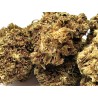 Fleur CBD Blueberry – Arôme sucré Détente | Indoor Premium