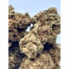 Fleur CBD Blueberry – Arôme sucré Détente | Indoor Premium