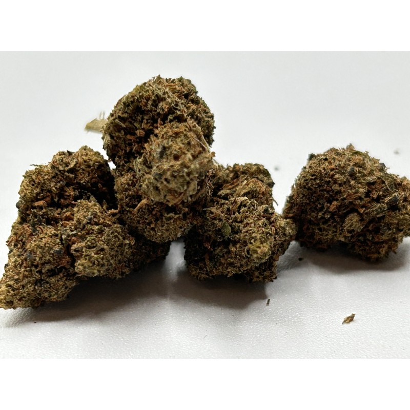 Fleur de CBD Gelato Indoor – Saveur fruitée & détente premium