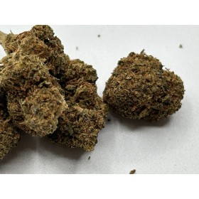 Fleur de CBD Gelato Indoor