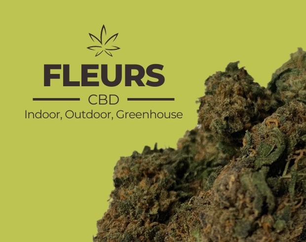 Indoor, outdoor, greenhouse